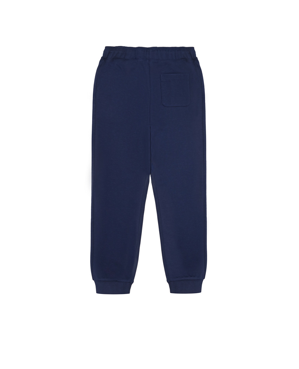Спортивные брюки Polo Ralph Lauren Kids 323844799001, синий цвет • Купить в интернет-магазине Kameron
