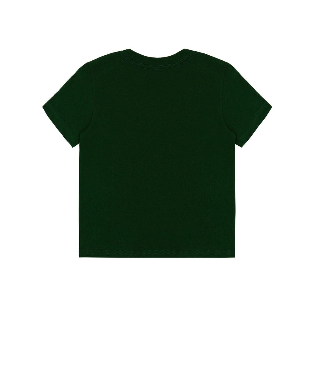 Футболка Polo Ralph Lauren Kids 321853828006, зеленый цвет • Купить в интернет-магазине Kameron