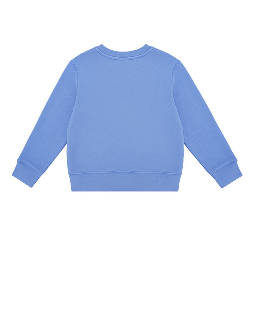 Детский свитшот Polo Bear Polo Ralph Lauren Kids 322919722004, синий цвет • Купить в интернет-магазине Kameron
