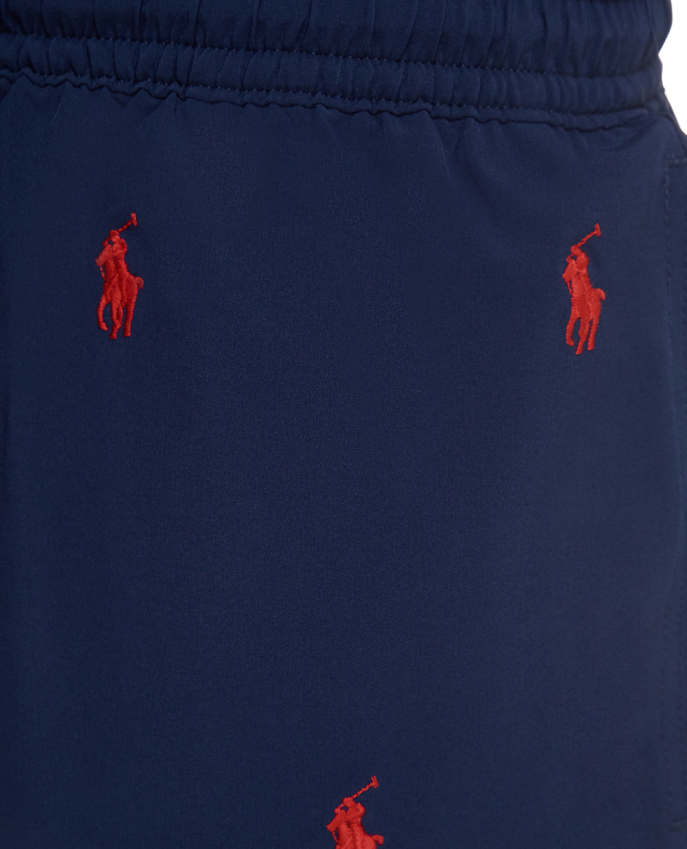 Плавательные шорты Polo Ralph Lauren 710835127001, синий цвет • Купить в интернет-магазине Kameron