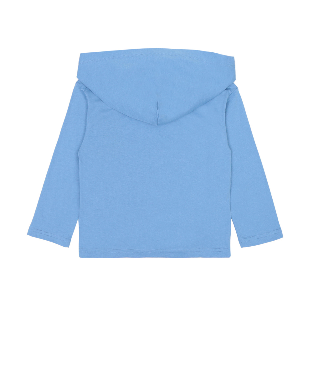 Худи Polo Ralph Lauren Kids 323777149003, блакитний колір • Купити в інтернет-магазині Kameron