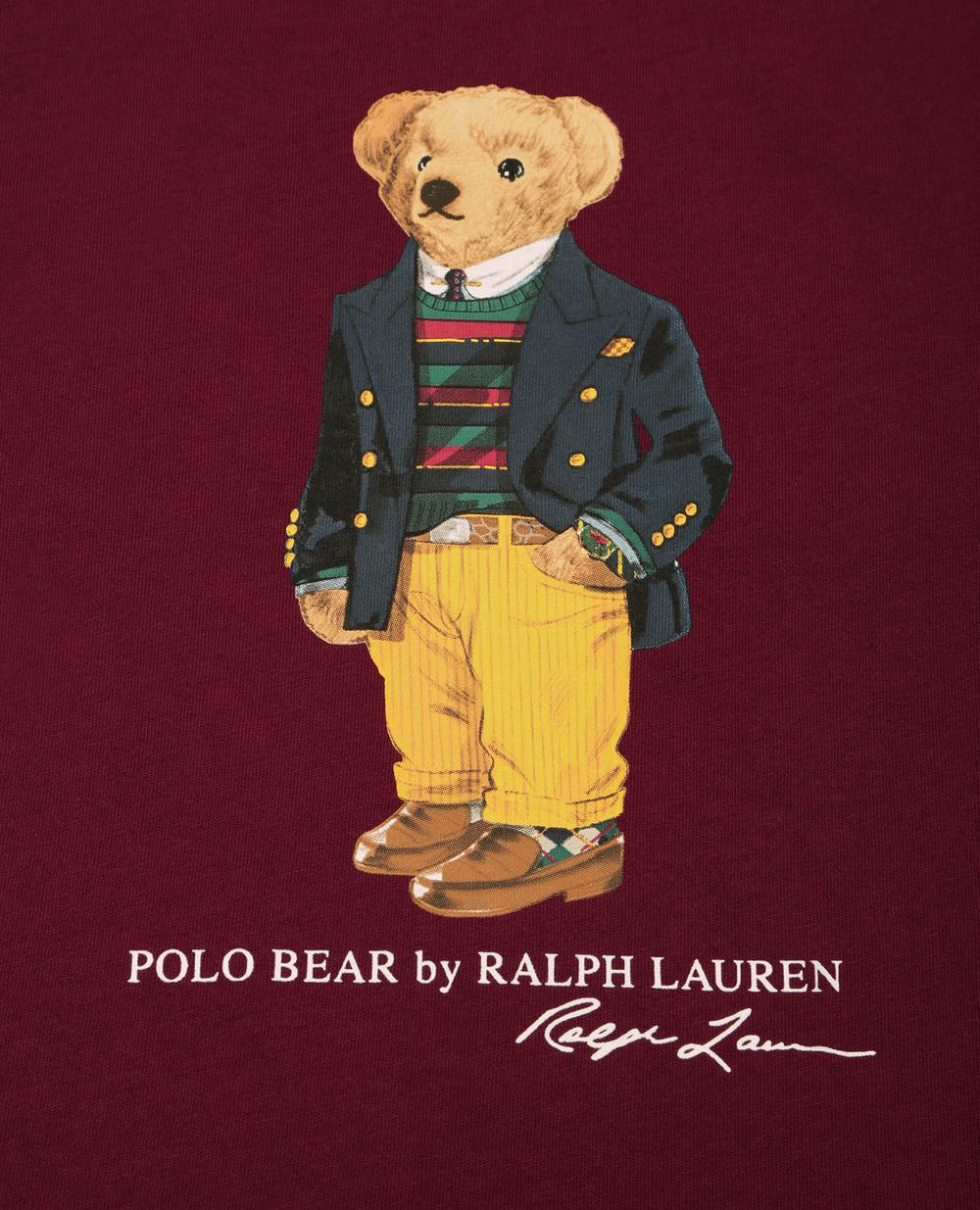 Футболка Polo Ralph Lauren Kids 323853828007, бордовый цвет • Купить в интернет-магазине Kameron