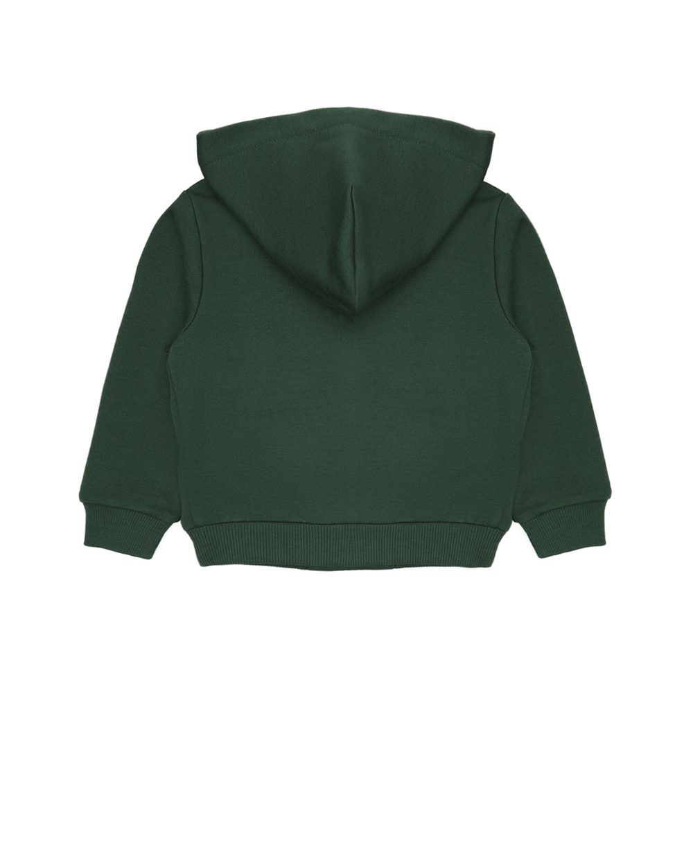 Худи Dolce&Gabbana Kids L4JW2V-G7OLJ-B-, зеленый цвет • Купить в интернет-магазине Kameron