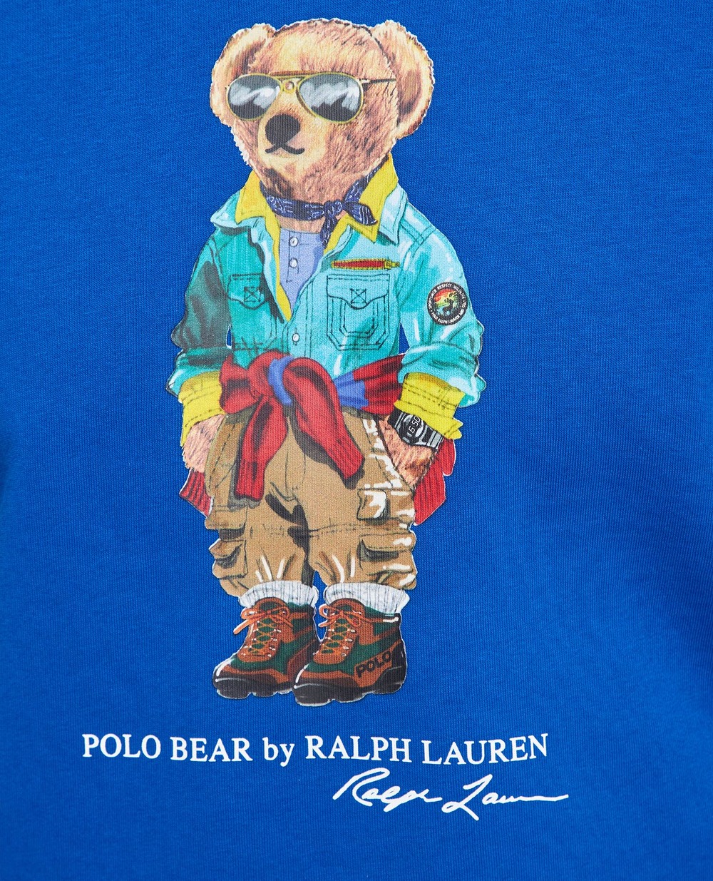 Худі Polo Ralph Lauren 710853309022, синій колір • Купити в інтернет-магазині Kameron