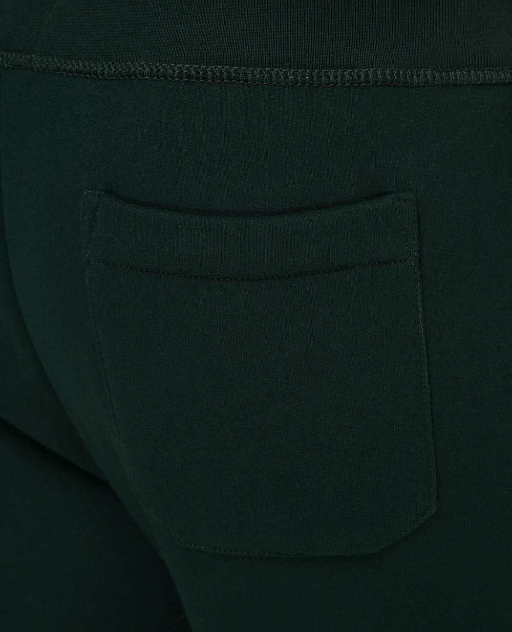 Спортивні брюки Polo Ralph Lauren 710766796003, зелений колір • Купити в інтернет-магазині Kameron