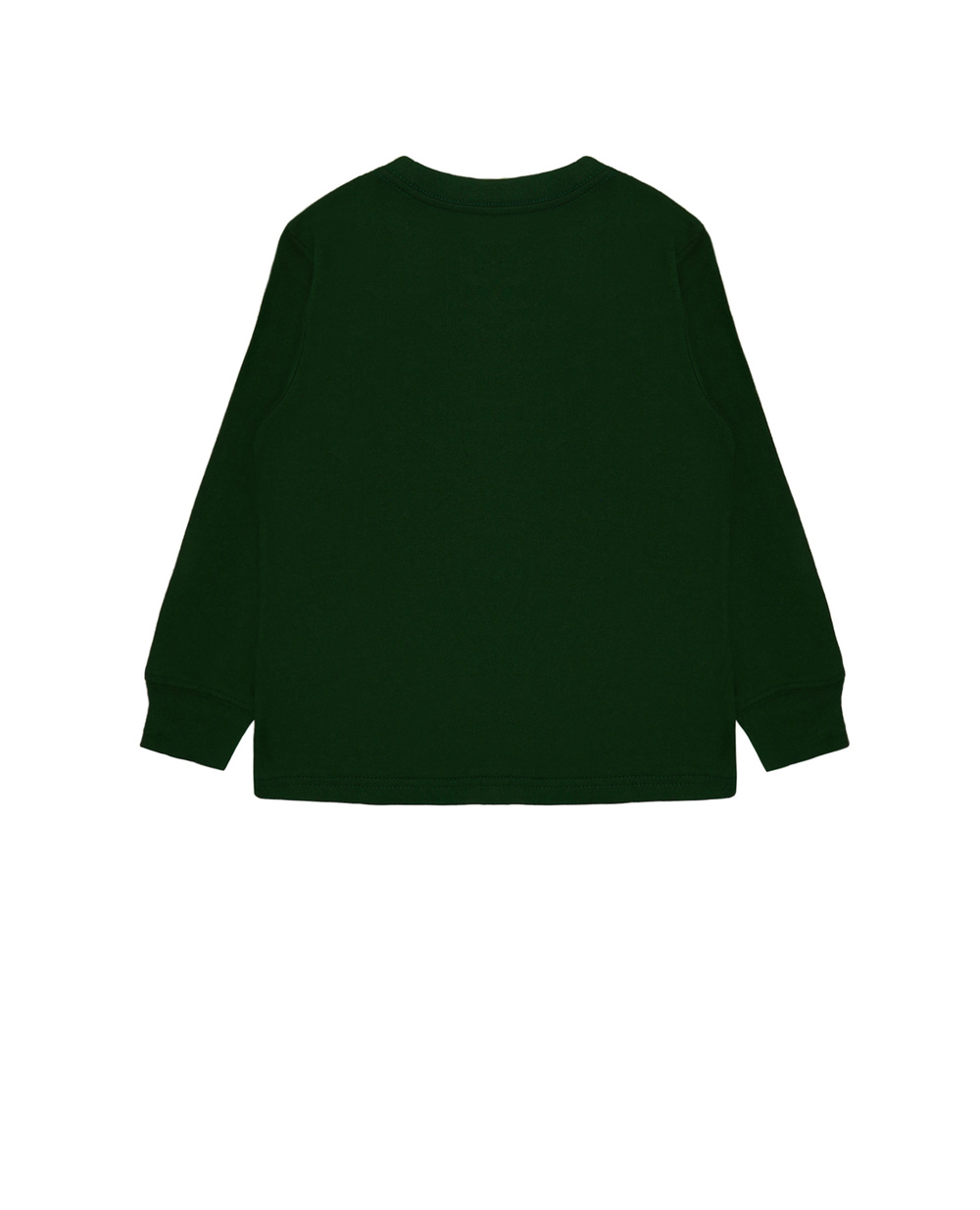 Лонгслив Polo Ralph Lauren Kids 321852014004, зеленый цвет • Купить в интернет-магазине Kameron