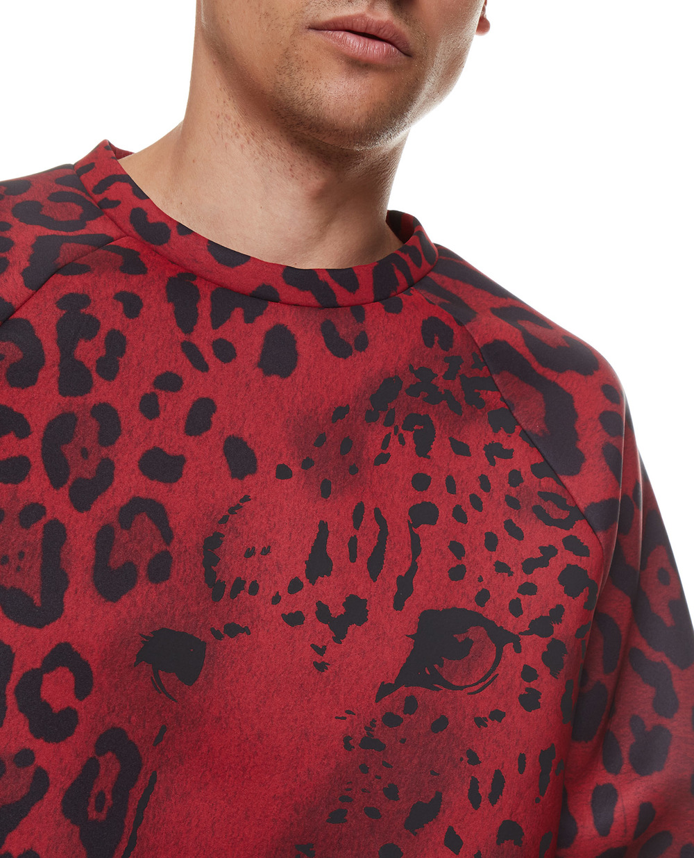 Свитшот Dolce&Gabbana G9WL9T-FHMJL, бордовый цвет • Купить в интернет-магазине Kameron