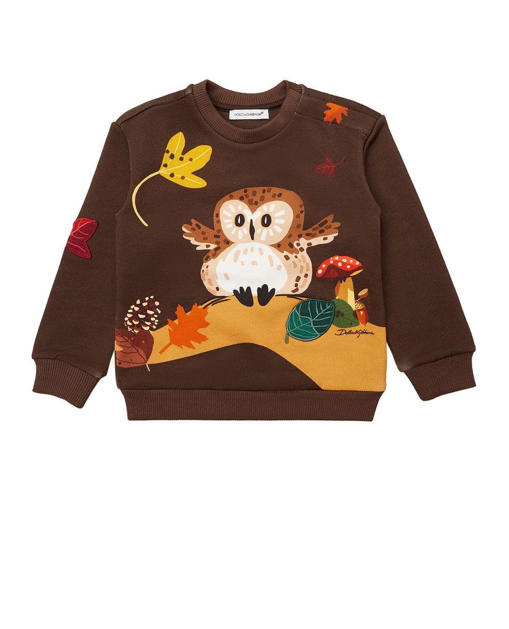 Детский свитшот Dolce&Gabbana Kids L2JWN6-G7XMR, коричневый цвет • Купить в интернет-магазине Kameron