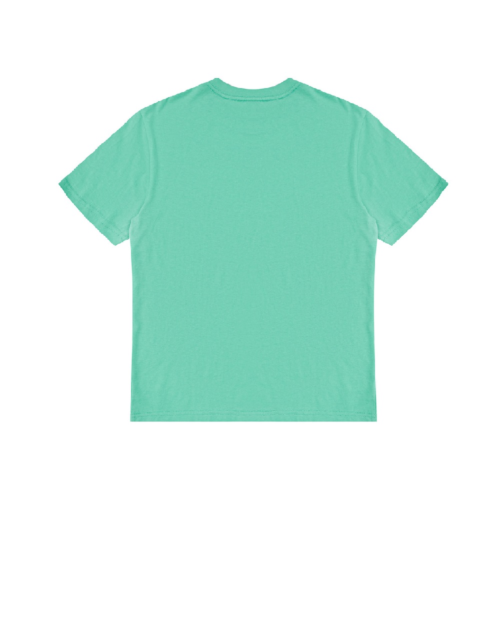 Детская футболка Polo Ralph Lauren Kids 323832904107, зеленый цвет • Купить в интернет-магазине Kameron