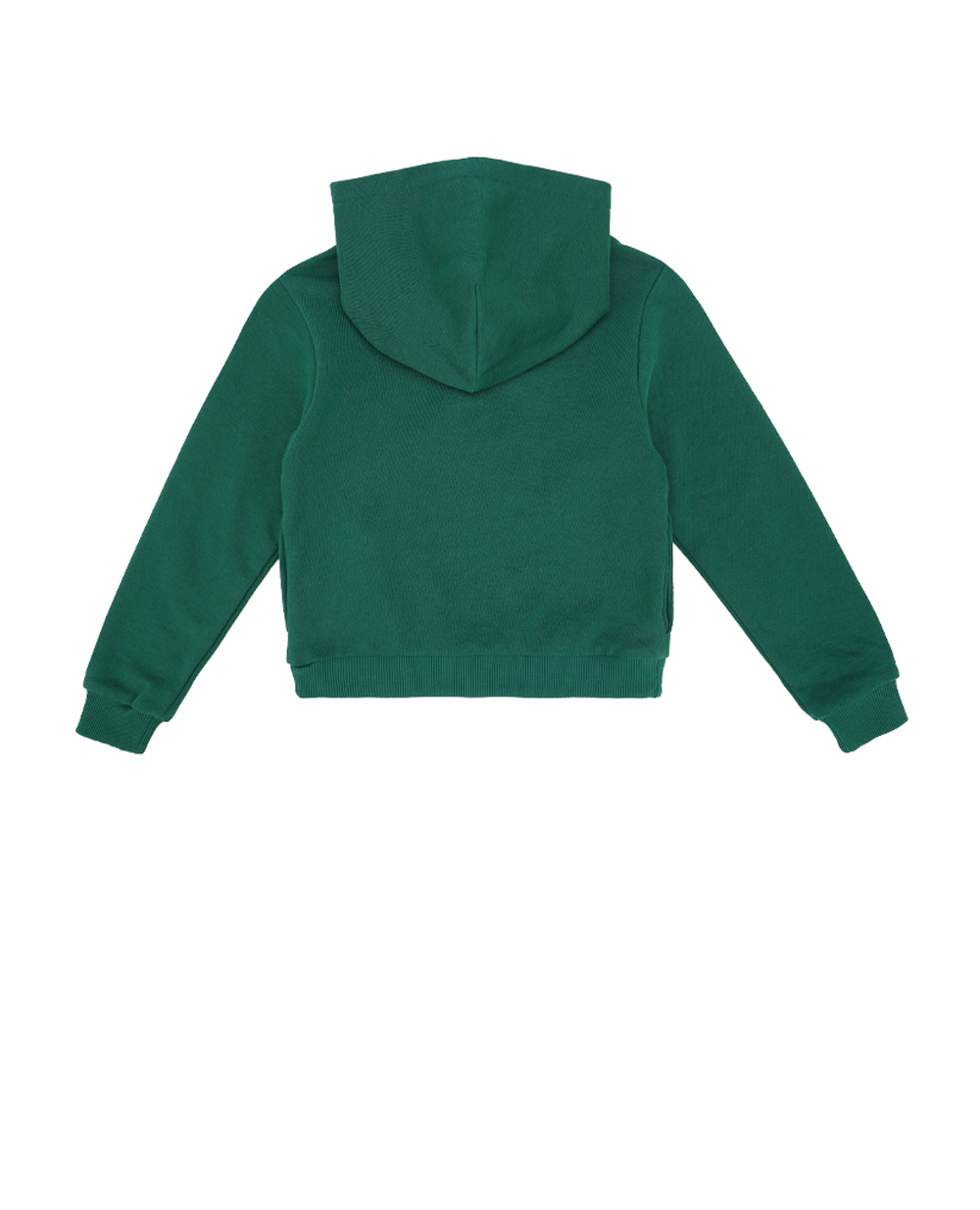 Детская толстовка (костюм) Dolce&Gabbana Kids L4JWID-G7M4R-B, зеленый цвет • Купить в интернет-магазине Kameron
