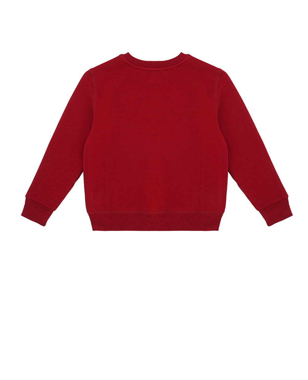 Детский свитшот хлопковый Polo Bear Polo Ralph Lauren Kids 322919722002, красный цвет • Купить в интернет-магазине Kameron