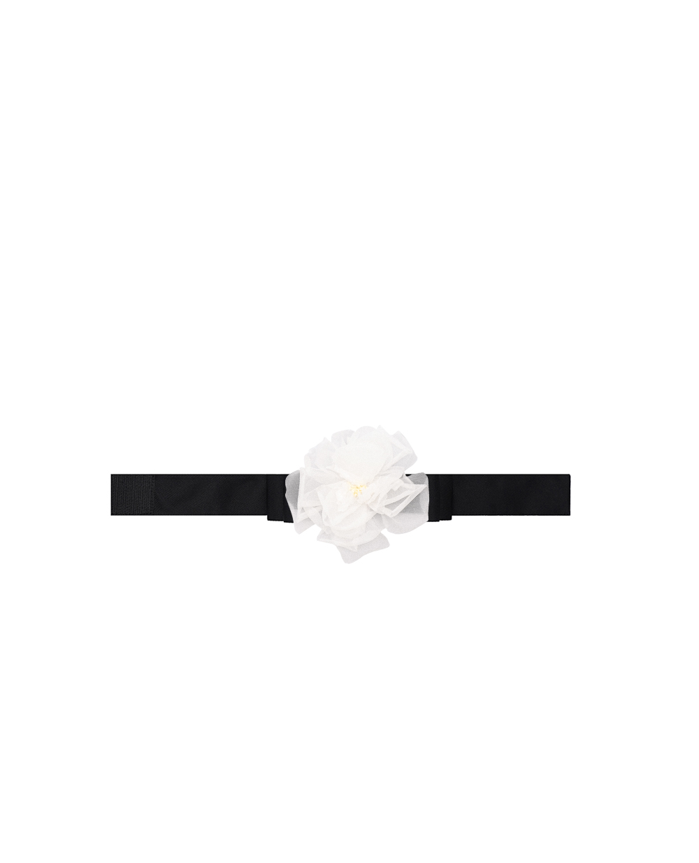Чокер Dolce&Gabbana FT093R-GDCIA, чорний колір • Купити в інтернет-магазині Kameron
