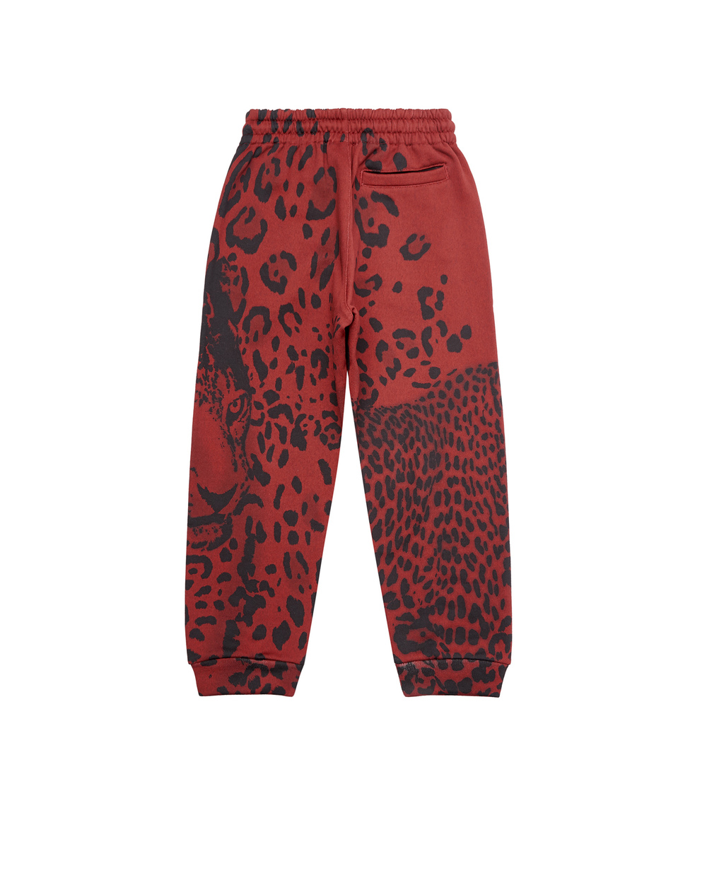 Спортивные брюки Dolce&Gabbana Kids L4JPEM-G7BUQ-S, красный цвет • Купить в интернет-магазине Kameron